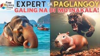 HANEP PALA LUMANGOY ang Hayop na ito Animals you didnt know can SWIM