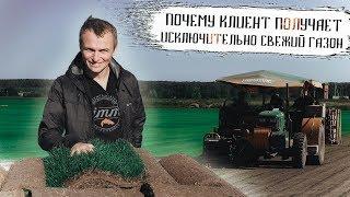 Свежесть рулонного газона для клиента. Как доставляется и где хранится рулонный газон