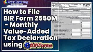 How to file BIR Form 2550M - Monthly Value-Added Tax Return on eBIRForms