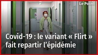 Covid-19  le variant « Flirt » fait repartir l’épidémie