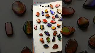 Ammolite Gems Explained Colors of Ancient Seas.  #ammolite  #gemstone  #mines  #crystals