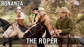 Bonanza - The Roper  Episode 161  Free Western Series  Cowboys  Full Length  English