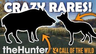 HIRSCHFELDEN Has the CRAZIEST RARES - Call of the Wild