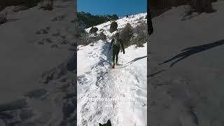 Come on a snowy trail run with us in Colorado