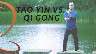 Tao Yin vs. Qi Gong Whats The Difference? Master Qi Gong Teacher Lee Holden Answers