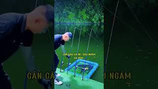 Cần câu máy 2 khúc ngọn siêu dẻo câu cá bè câu ngâm câu dìa bao phê #fishing #shortvideo