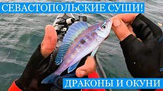 Весенняя Рыбалка в СЕВАСТОПОЛЕ - Полный каяк рыбы суши из улова и такая переменчивая погода