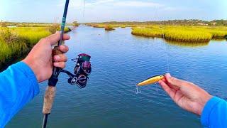 Inshore Fishing for Whatever Bites