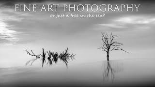 Fine Art Photography or dead tree in the sea?