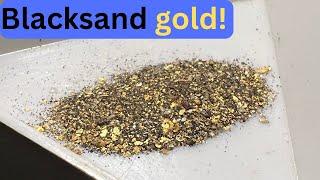 Beach gold prospecting in NZ  Finding rich gold seams