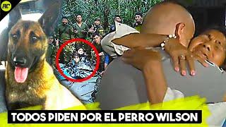 Todos Piden por Wilson El Perro Rescatista que Ayudó a los 4 Niños Perdidos en la Selva de Colombia