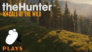 theHunter Call of the Wild - Stream Highlights #1