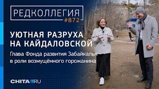 Это целое дерево прогулка по дворам на ЗабВО до которых не добрались благоустройство и пилы ДМРСУ