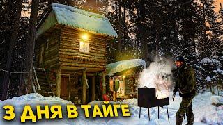 ЖИЗНЬ В ТАЙГЕ \  ИЗБА 2 ЭТАЖА \  ПРИРОДА \ Полная версия. Игорь Лесник