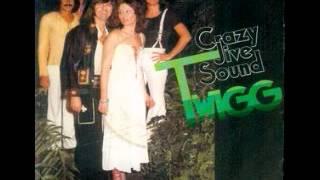 Twigg - Crazy Jive Sound