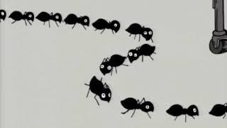 MADTV - Spy vs Spy - Ants
