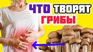 В Грибах больше пользы Чем вреда? Кому нельзя есть ГРИБЫ?