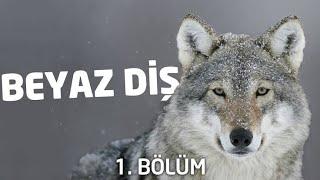 BEYAZ DİŞKONUŞAN KİTAPLAR 1.BÖLÜM