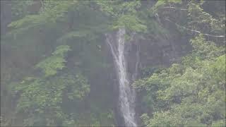 徳島県、国道193号。大用知橋から眺める滝群。雨の日。ジャズBGM。