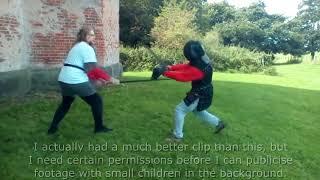 Swordfighting at a kids party a Podcast other weird things.  Pc Genies updates