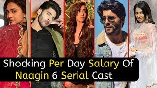 Shocking Per Day Salary Of Naagin 6 Serial Cast Real Name And Real Age  Pratha  Rishabh  TM