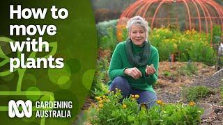 Tips for transplanting your plants when moving house  DIY Garden Projects  Gardening Australia