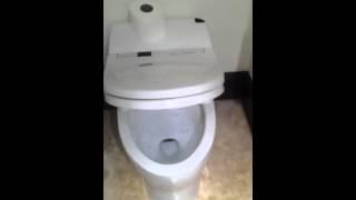 Automatic toilet