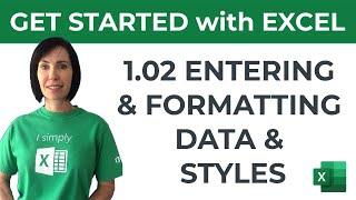 Excel for Beginners - Entering & Formatting Data & Styles