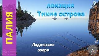 Русская рыбалка 4 - Ладожское озеро - Палия с острова