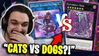 WHICH FURRY DECK IS BETTER?  Fur Hire VS Purrely