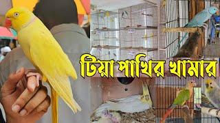 টিয়া পাখির খামার  Parrots birds farm in Bangladesh