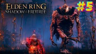 Окрестности замка Энсис. ELDEN RING Shadow of the Erdtree #5