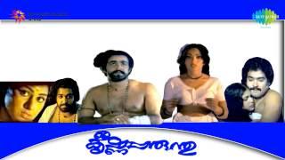 Sreekrishna Parunthu  Nilavinte Poonkavil song