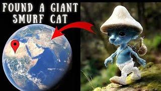 I found Smurf Cat ‍️ On Google Earth and Google Maps #earth #mystisk #googleearth