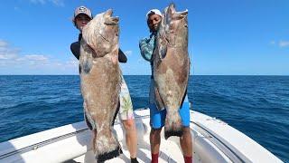 YOU WONT BELIEVE HOW MUCH THESE FISH SOLD FOR... GIANT BLACK GROUPERS IN THE BAHAMAS Spearfishing