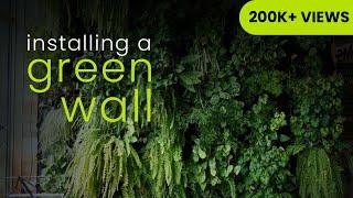 Installing A Green Wall