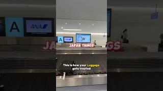 Japan Airport vs Australia Airport ️ #funfact #funnyshorts