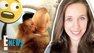 Jill Duggar Defends Feeding Her Dog Old Breast Milk  E News