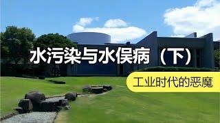 塑料生产为何引起中毒：400号猫的实验将揭晓迷雾  化学有故事2