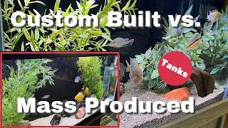 ARE CUSTOM BUILT FISH TANKS WORTH THE HIGH PRICE? - Watch This