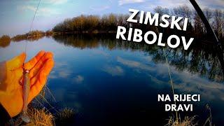 Zimski ribolov na rijeci Dravi - Keitech Easy Shiner 10cm