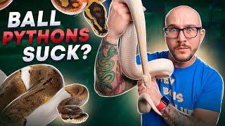 DO NOT Get A Pet Ball Python Until You Watch This