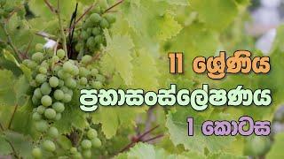 OL Science Sinhala  Grade 11 Science Unit 02 Part 1  11 වසර විද්‍යාව 02 පාඩම  ප්‍රභාසංස්ලේෂණය