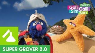 Sesame Workshop India - Super Grover 2.0  The Lost Ring