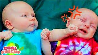 A MUST 30 Minutes of Funniest Baby EVER  Cool Peachy