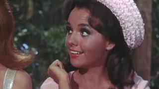 Dawn Wells  Tribute  1938-2020