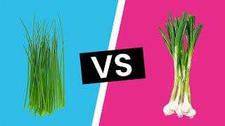 Chives vs Scallions - Whats the Difference?