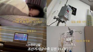 임산부 VLOG  25W  조산기 입원   자궁수축  라보파 부작용   고위험산모  태동검사