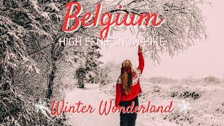 Snow hike at the High Fens in Belgium the perfect Winter Wonderland