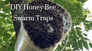 Catch Free Honey Bees  DIY Honey Bee Swarm Traps